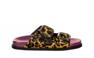 Klapki Mifflin Leopard 602215, Wielokolorowy, Skóra naturalna | Gioseppo Sale