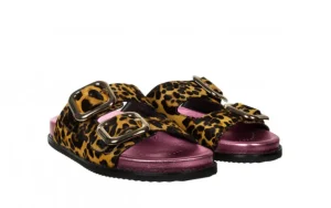 Klapki Mifflin Leopard 602215, Wielokolorowy, Skóra naturalna | Gioseppo Sale